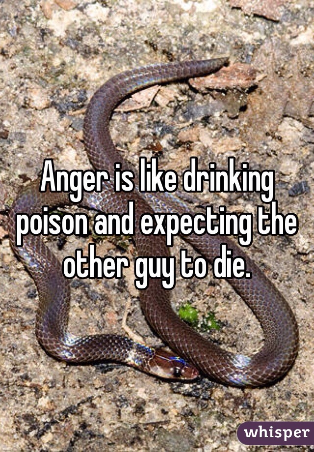 Anger is like drinking poison and expecting the other guy to die.