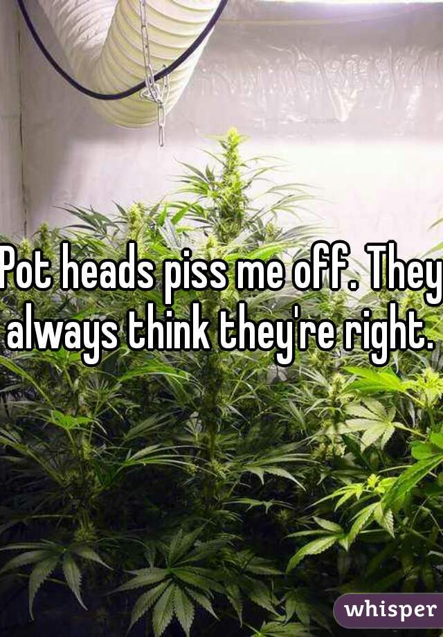Pot heads piss me off. They always think they're right. 