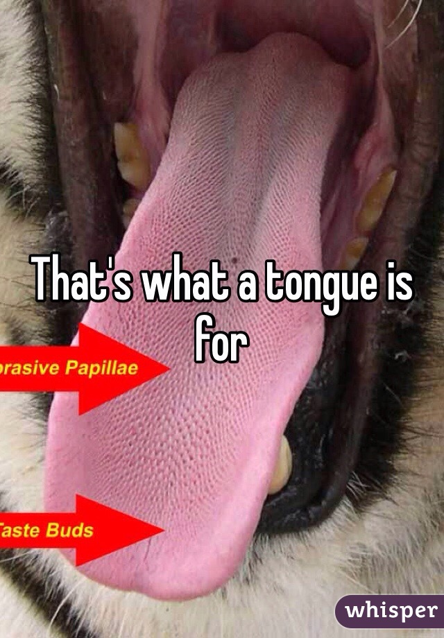 That's what a tongue is for