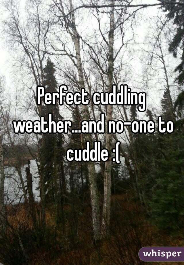 Perfect cuddling weather...and no-one to cuddle :(