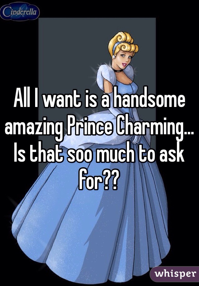 All I want is a handsome amazing Prince Charming... Is that soo much to ask for??