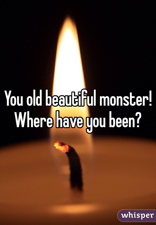 You old beautiful monster!
Where have you been?
