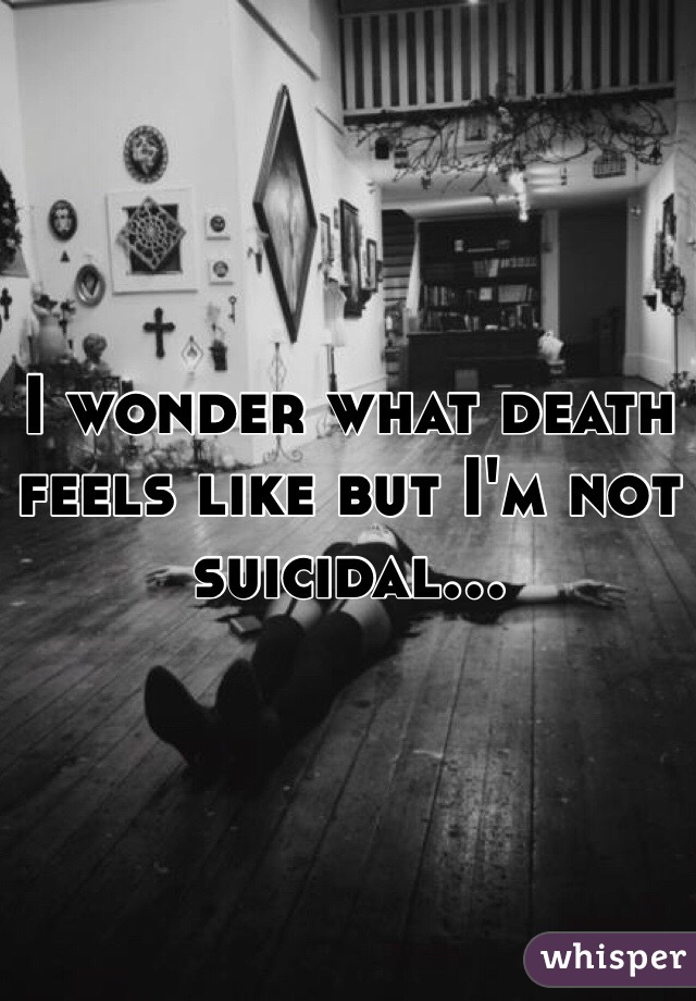 I wonder what death feels like but I'm not suicidal...