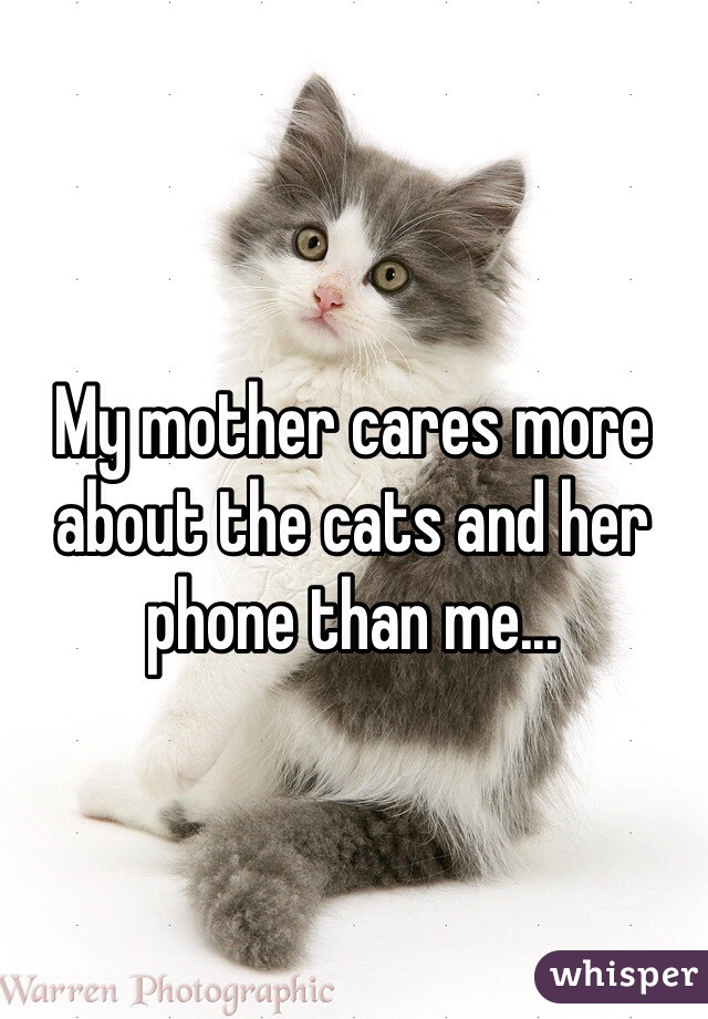 My mother cares more about the cats and her phone than me...