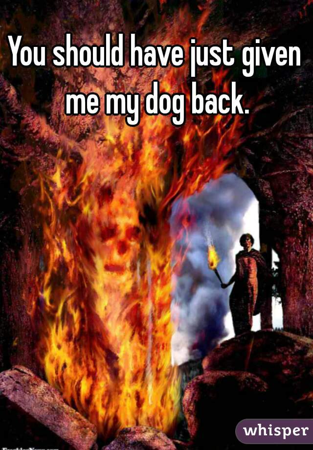 You should have just given me my dog back.