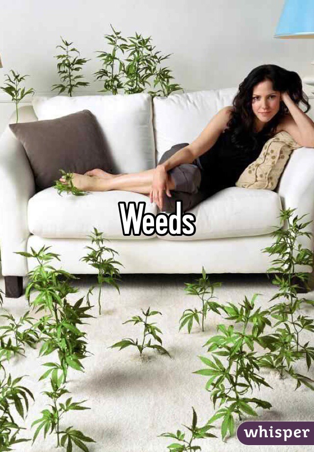 Weeds 