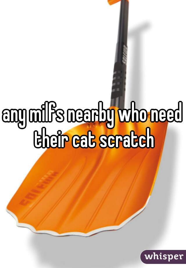 any milfs nearby who need their cat scratch