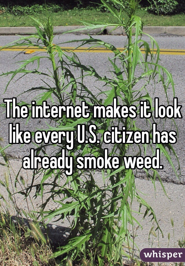 The internet makes it look like every U.S. citizen has already smoke weed.