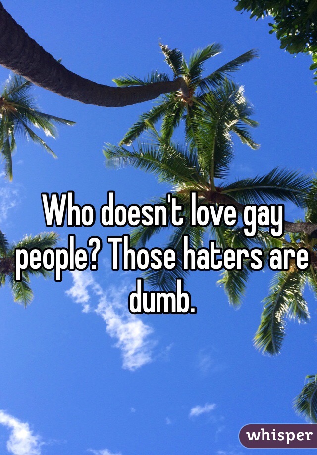 Who doesn't love gay people? Those haters are dumb.