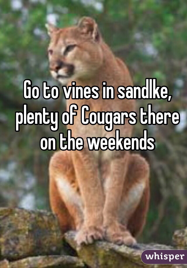 Go to vines in sandlke, plenty of Cougars there on the weekends