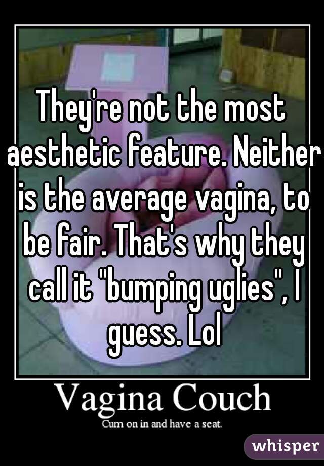 They're not the most aesthetic feature. Neither is the average vagina, to be fair. That's why they call it "bumping uglies", I guess. Lol