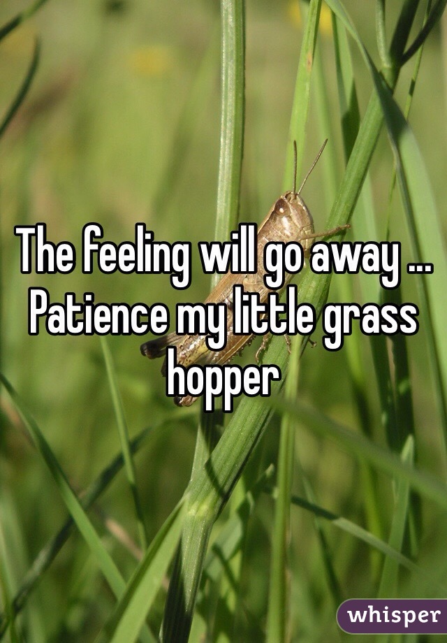 The feeling will go away ... Patience my little grass hopper 