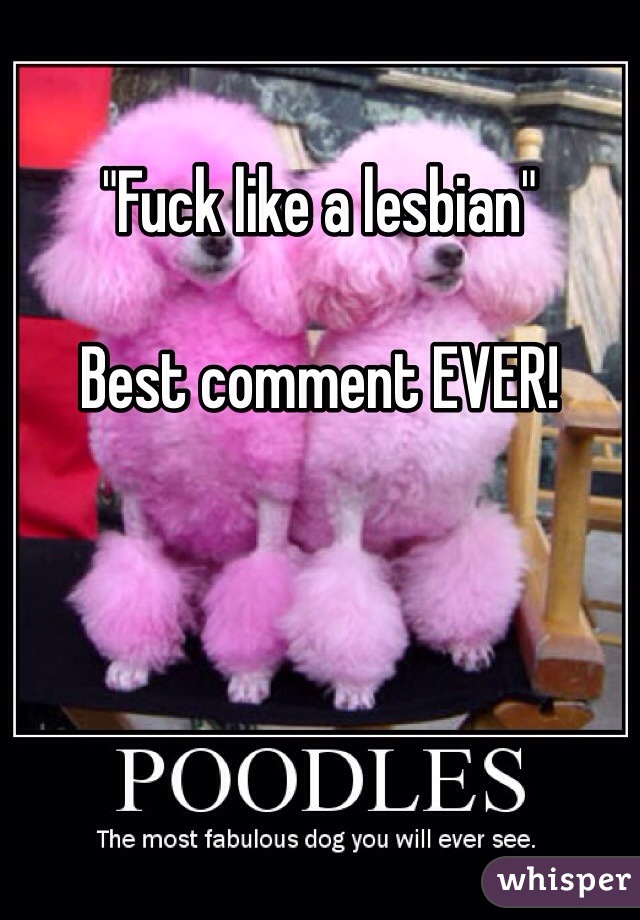 "Fuck like a lesbian"

Best comment EVER! 