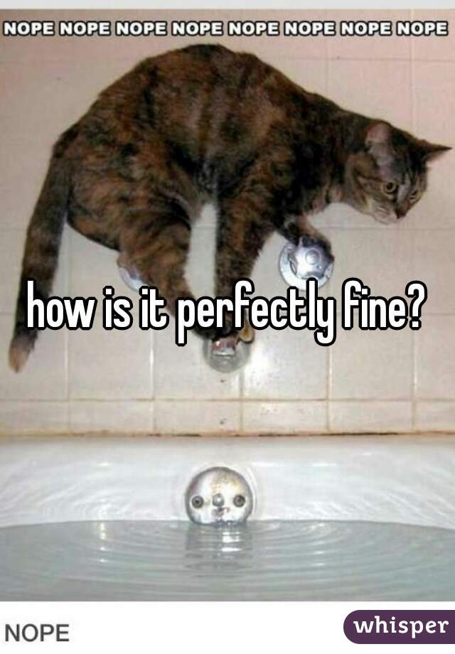 how is it perfectly fine?
