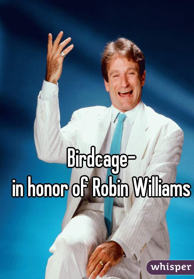 Birdcage-
in honor of Robin Williams