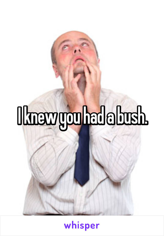 I knew you had a bush.