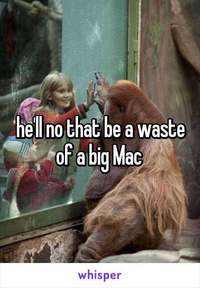 he'll no that be a waste of a big Mac 