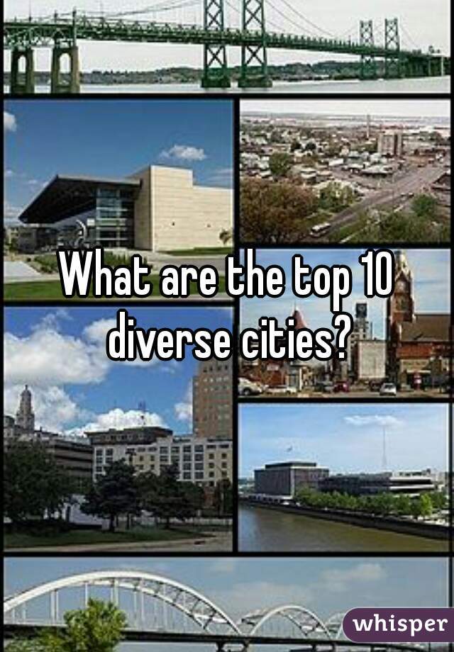 What are the top 10 diverse cities?