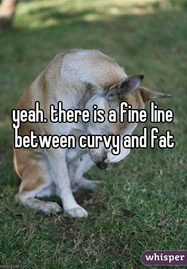 yeah. there is a fine line between curvy and fat