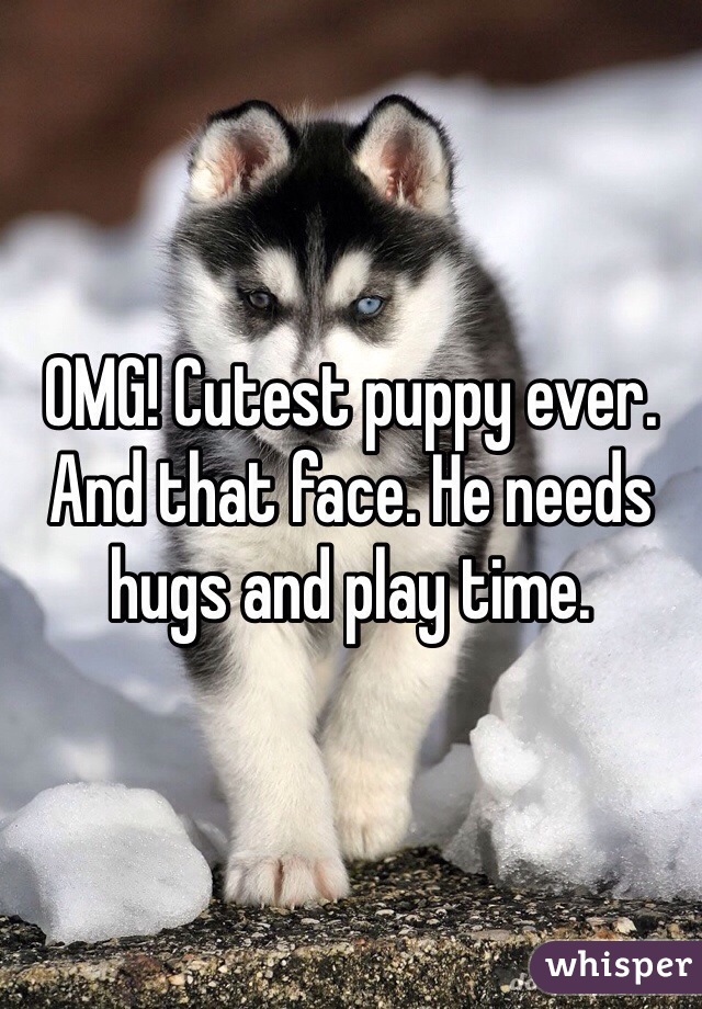 OMG! Cutest puppy ever. And that face. He needs hugs and play time.