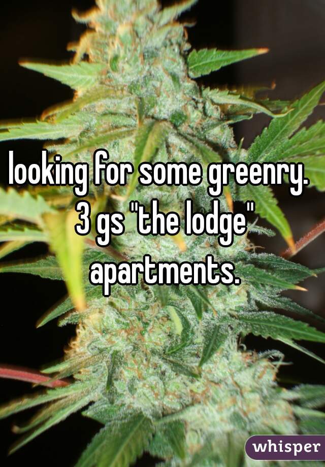 looking for some greenry.  3 gs "the lodge" apartments.