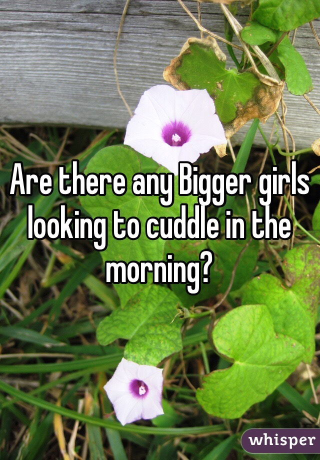 Are there any Bigger girls looking to cuddle in the morning? 