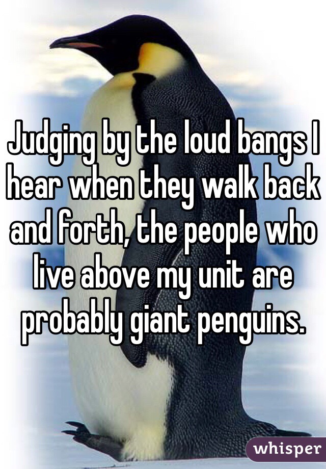 Judging by the loud bangs I hear when they walk back and forth, the people who live above my unit are probably giant penguins.