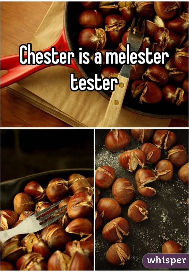 Chester is a melester tester