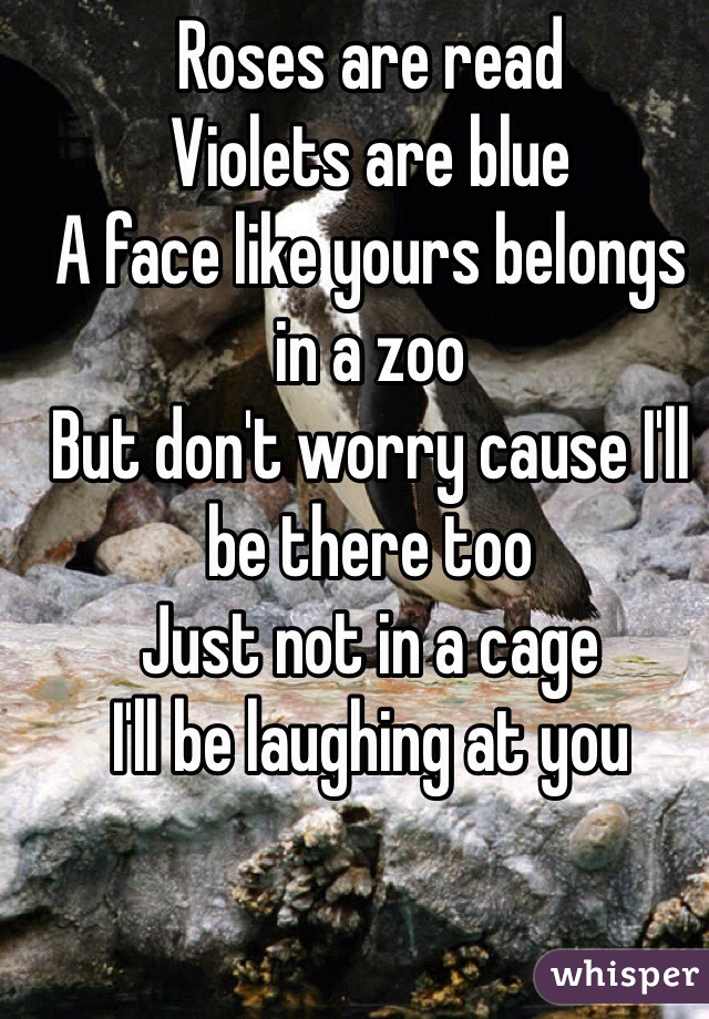 Roses are read
Violets are blue
A face like yours belongs in a zoo
But don't worry cause I'll be there too
Just not in a cage 
I'll be laughing at you 
