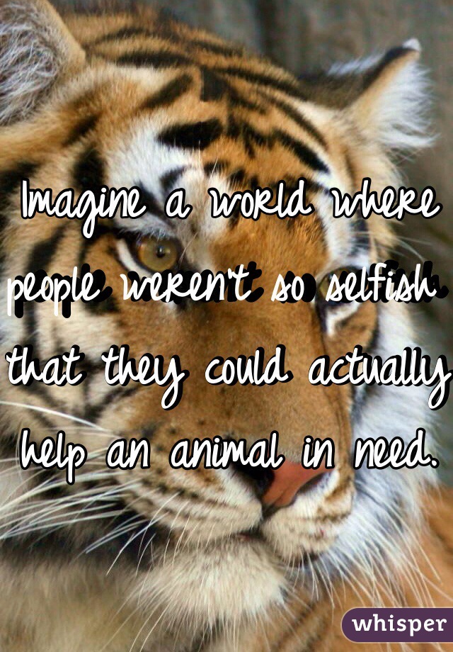 Imagine a world where people weren't so selfish that they could actually help an animal in need.