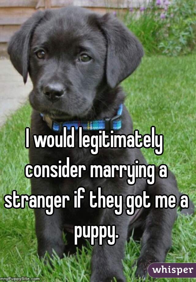 I would legitimately consider marrying a stranger if they got me a puppy.