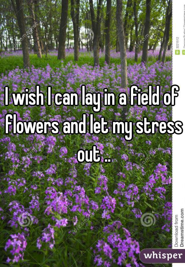 I wish I can lay in a field of flowers and let my stress out ..