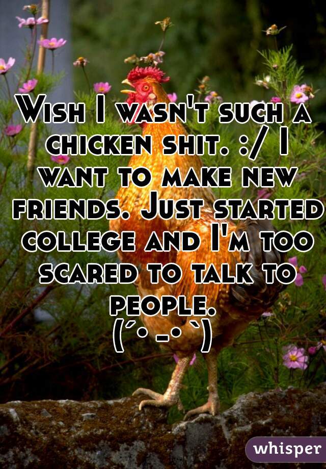 Wish I wasn't such a chicken shit. :/ I want to make new friends. Just started college and I'm too scared to talk to people. 
(´･-･`)
