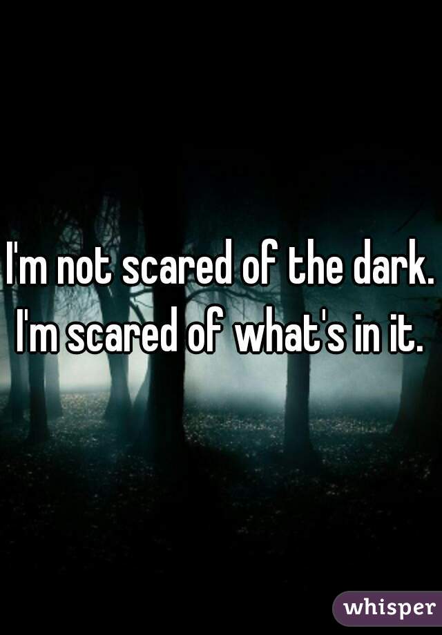 I'm not scared of the dark. I'm scared of what's in it. 