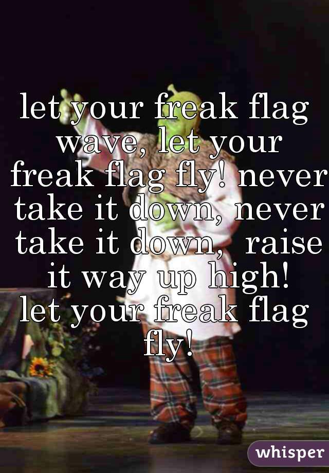 let your freak flag wave, let your freak flag fly! never take it down, never take it down,  raise it way up high!
let your freak flag fly!