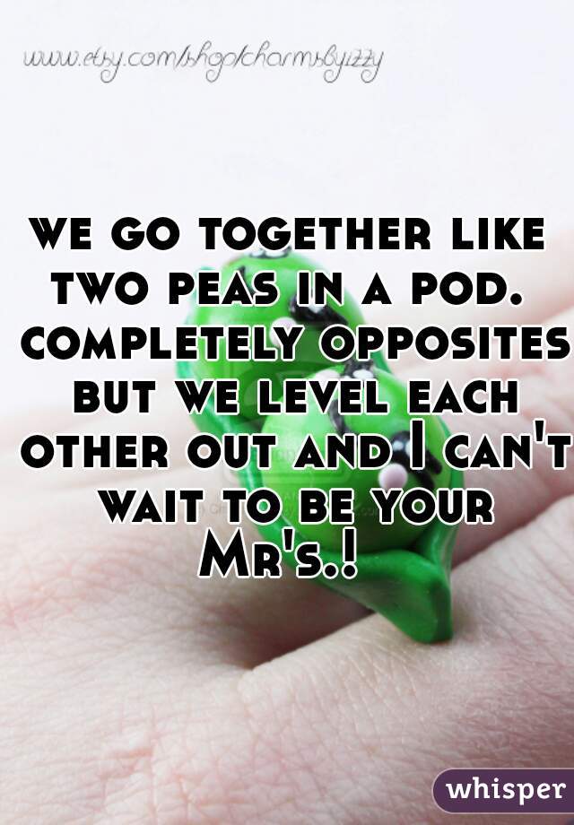 we go together like two peas in a pod.  completely opposites but we level each other out and I can't wait to be your Mr's.!  