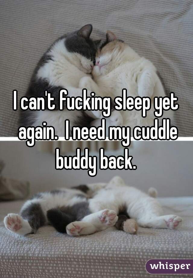 I can't fucking sleep yet again.  I need my cuddle buddy back. 