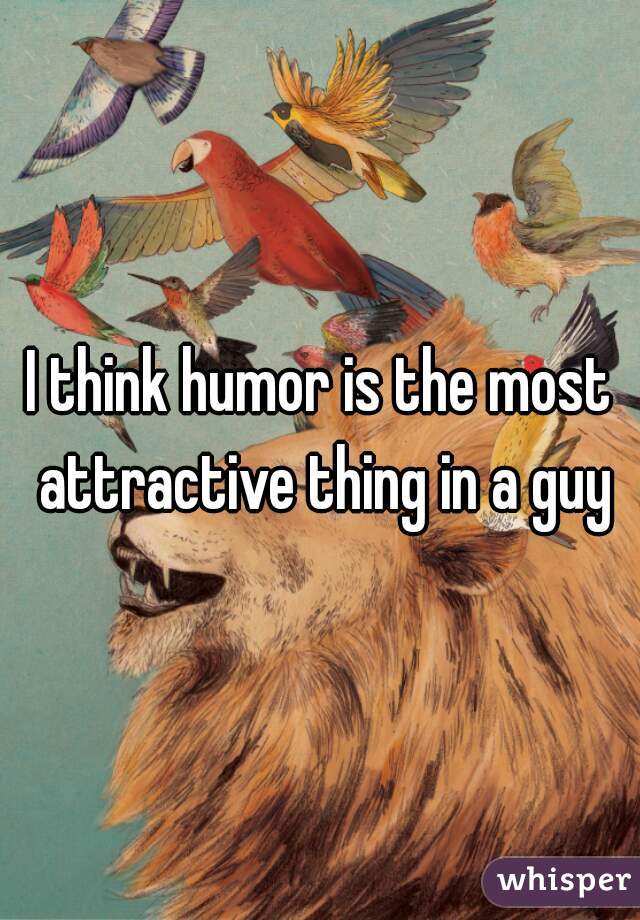 I think humor is the most attractive thing in a guy