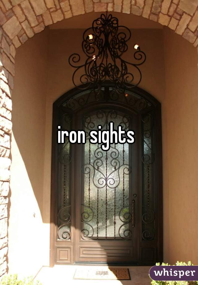 iron sights 