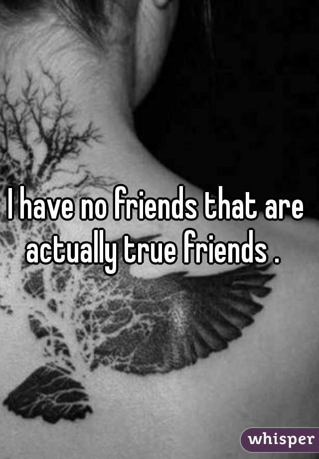 I have no friends that are actually true friends .  