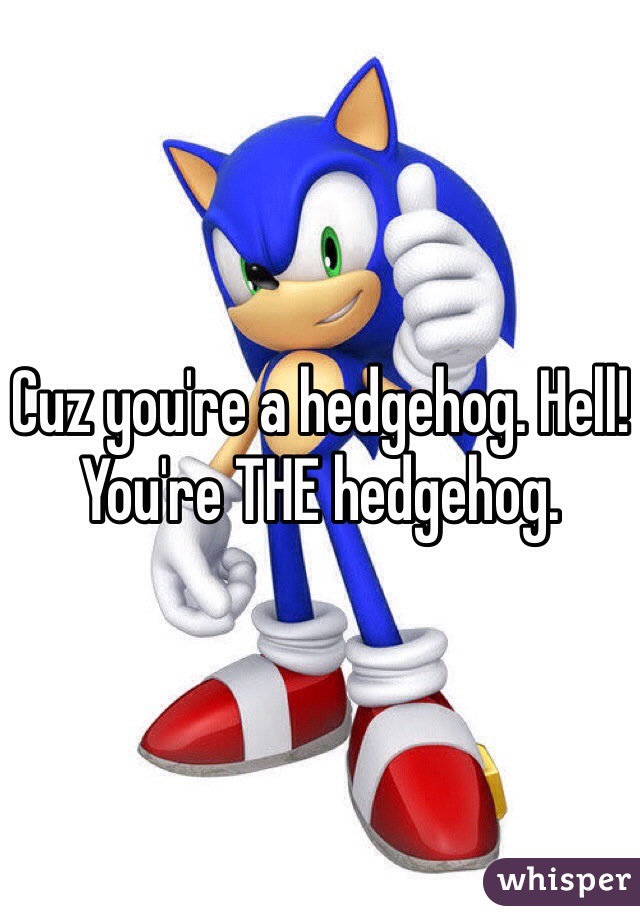 Cuz you're a hedgehog. Hell! You're THE hedgehog. 