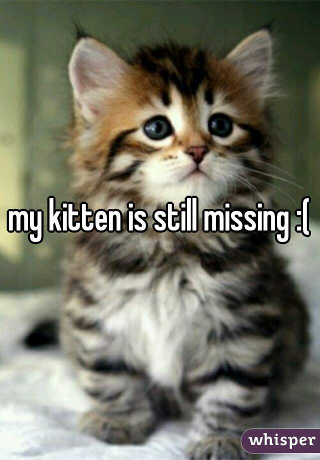 my kitten is still missing :(