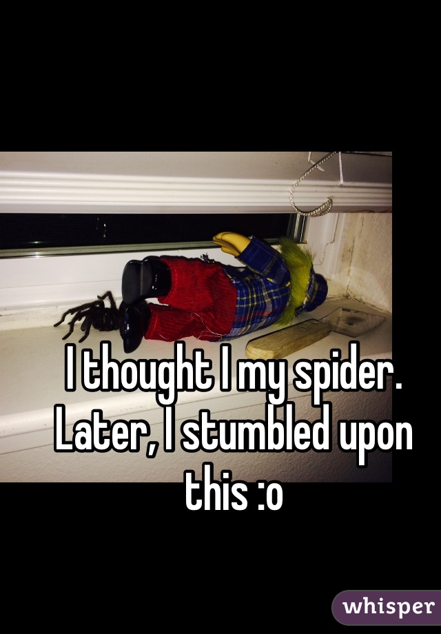 I thought I my spider. Later, I stumbled upon this :o
