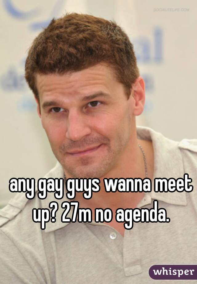 any gay guys wanna meet up? 27m no agenda. 