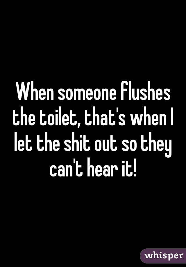 When someone flushes the toilet, that's when I let the shit out so they can't hear it!