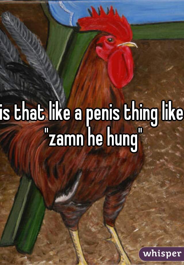 is that like a penis thing like "zamn he hung"