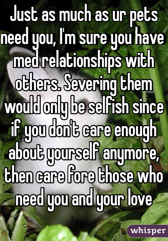 Just as much as ur pets need you, I'm sure you have med relationships with others. Severing them would only be selfish since if you don't care enough about yourself anymore, then care fore those who need you and your love