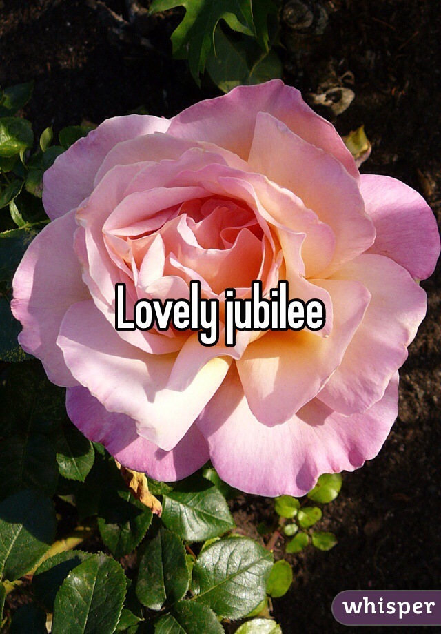Lovely jubilee