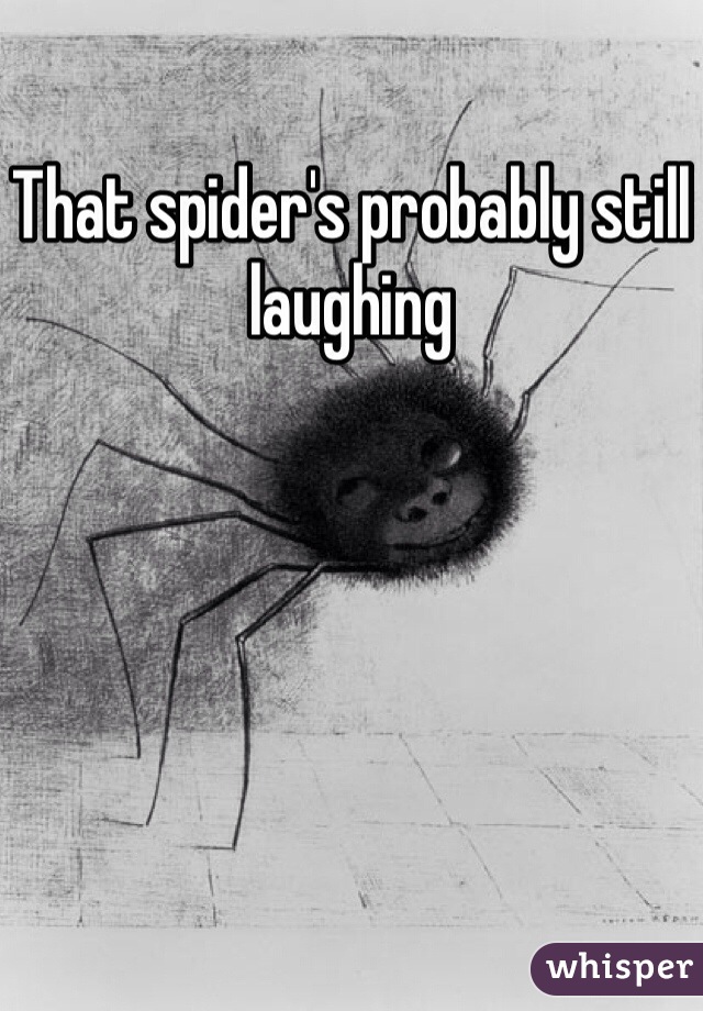 That spider's probably still laughing