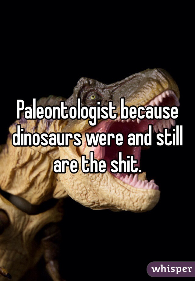 Paleontologist because dinosaurs were and still are the shit.